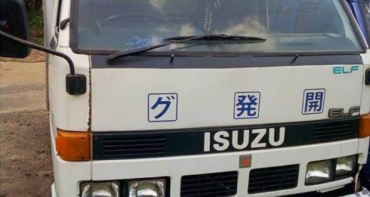 ISUZU ELF 1981