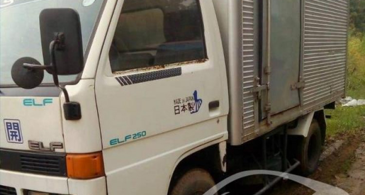 ISUZU ELF 1981