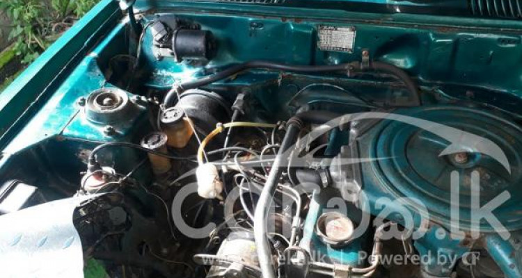 NISSAN SUNNY B310 1978