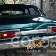 NISSAN SUNNY B310 1978
