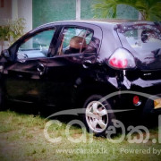 MICRO PANDA 2011