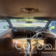 NISSAN SUNNY B310 1982