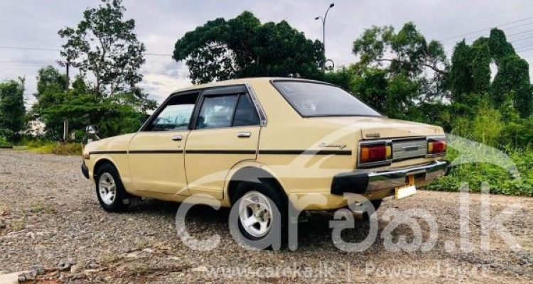 NISSAN SUNNY B310 1979