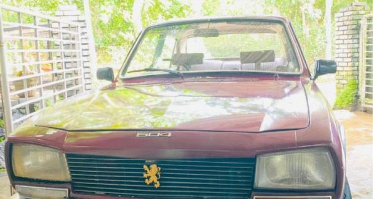 PEUGEOT 504 1976