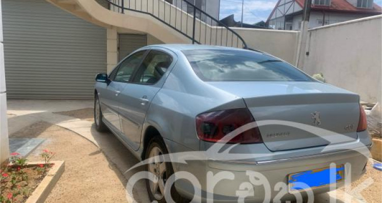 PEUGEOT 407 2007