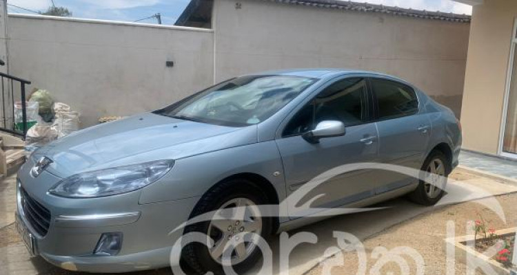 PEUGEOT 407 2007