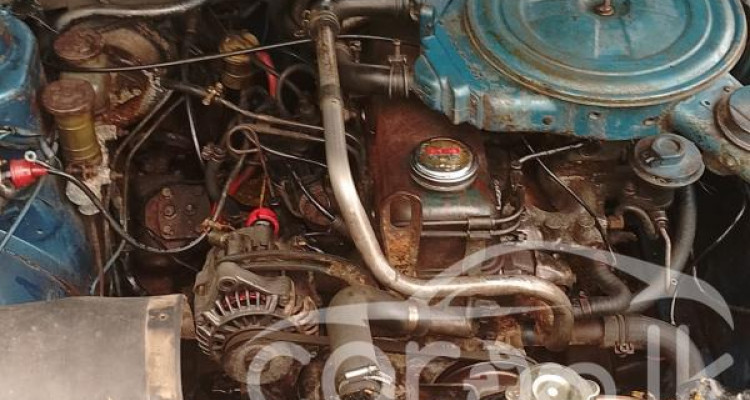 NISSAN SUNNY B310 1980