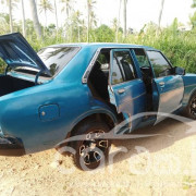 NISSAN SUNNY B310 1980