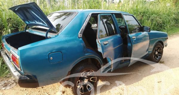 NISSAN SUNNY B310 1980