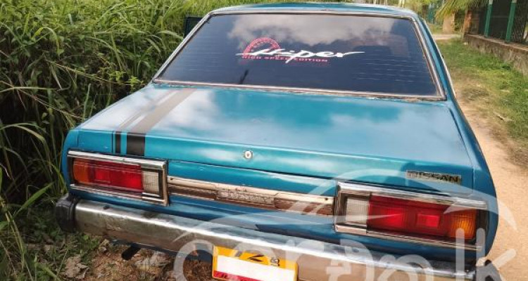 NISSAN SUNNY B310 1980
