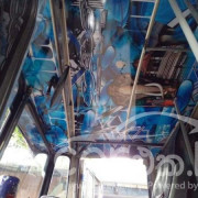 LANKA ASHOK LEYLAND VIKING 2002