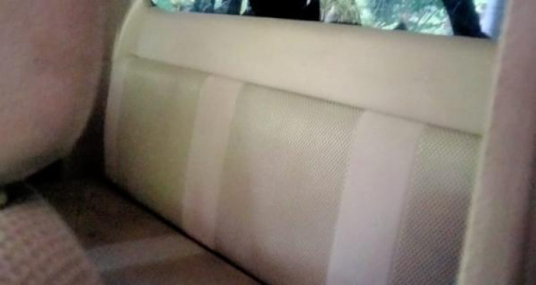 TOYOTA HILUX VIGO 2010