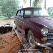 PEUGEOT 404 1976