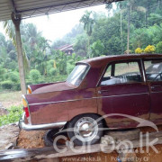 PEUGEOT 404 1976