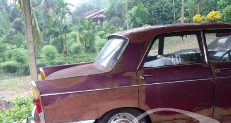 PEUGEOT 404 1976
