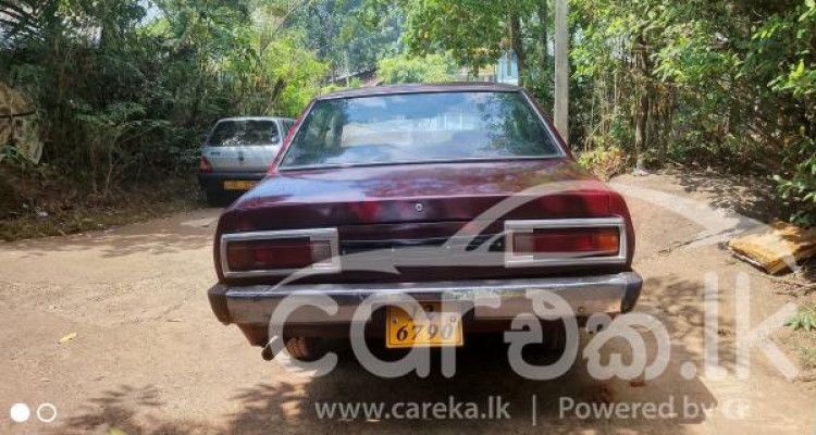 NISSAN SUNNY B310 1976