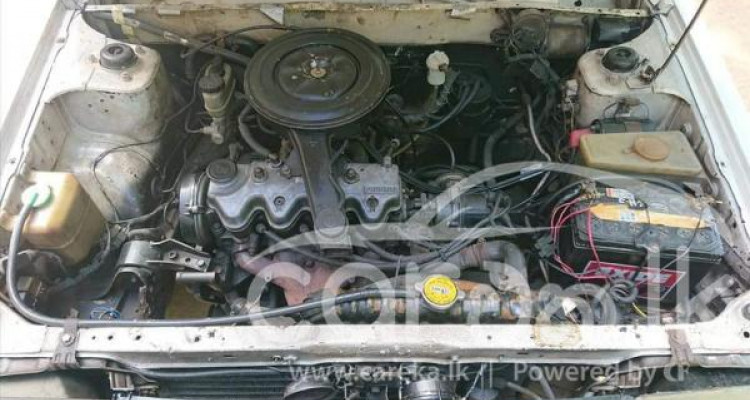NISSAN SUNNY B11 1983