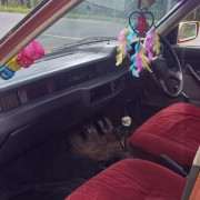 MITSUBISHI TREDIA 1984