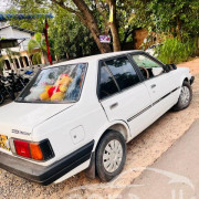 NISSAN SUNNY HB11 1985