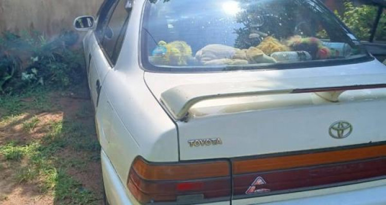 TOYOTA COROLLA 1992