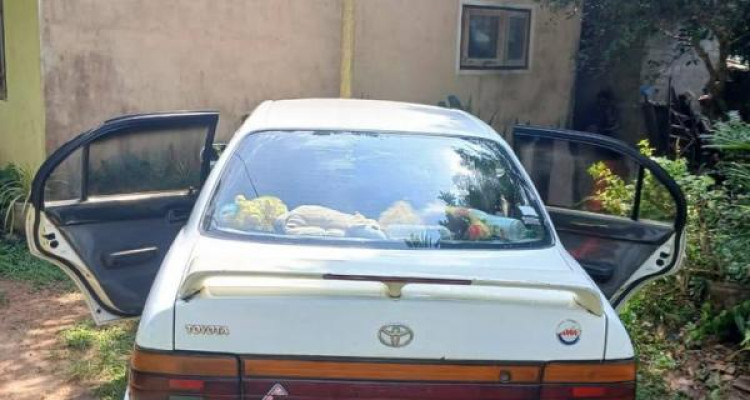 TOYOTA COROLLA 1992