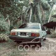 NISSAN SUNNY HB11 1985
