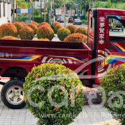 MAHINDRA MAXXIMO PLUS 2014
