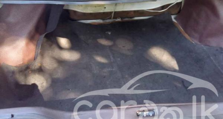 NISSAN TRAD SUNNY 1987