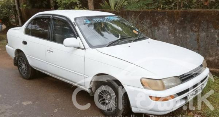 TOYOTA COROLLA 1992
