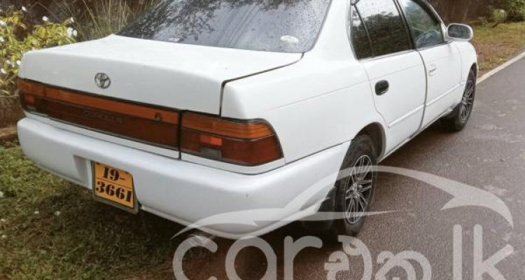 TOYOTA COROLLA 1992