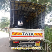 TATA 810 2020