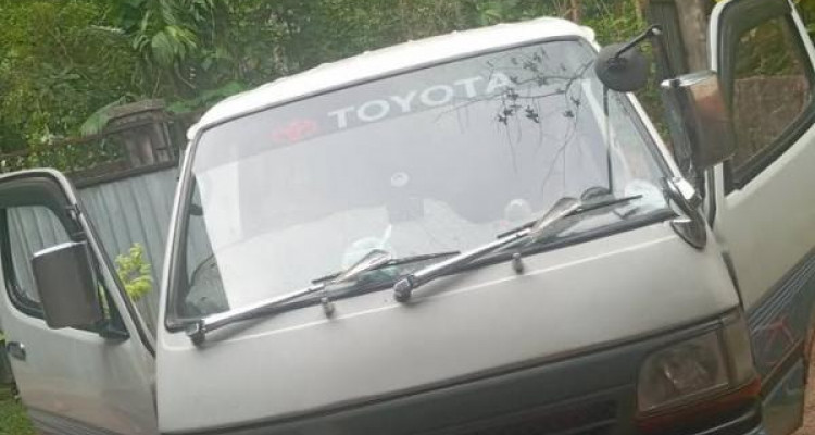 TOYOTA DOLPHIN LH113 1993