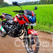 BAJAJ PULSAR 135 2010