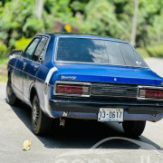 NISSAN SUNNY B310 1979