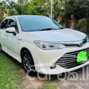 TOYOTA AXIO 2015