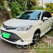 TOYOTA AXIO 2015