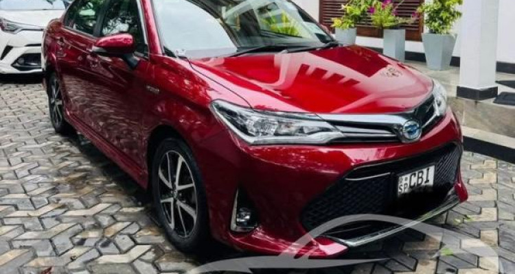 TOYOTA AXIO 2019