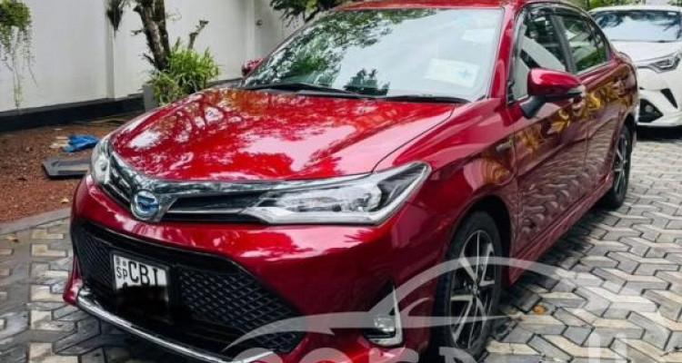 TOYOTA AXIO 2019