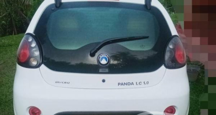 MICRO PANDA 2014