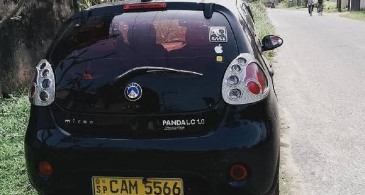 MICRO PANDA 2015