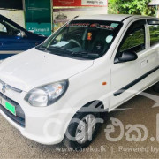 SUZUKI ALTO 2013