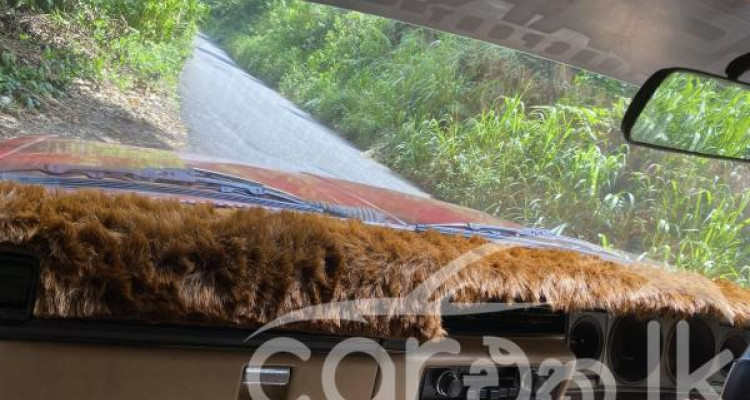 NISSAN SUNNY B310 1979