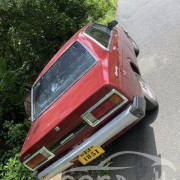 NISSAN SUNNY B310 1979