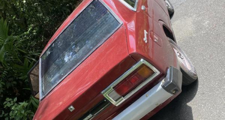 NISSAN SUNNY B310 1979