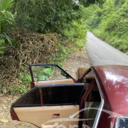 NISSAN SUNNY B310 1979