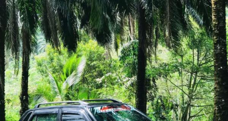 SUZUKI MARUTI 800 2012