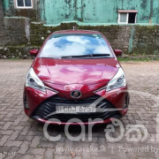 TOYOTA VITZ 2019