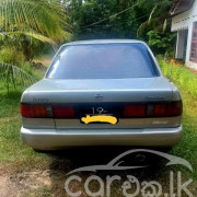 NISSAN SUNNY FB13 1992
