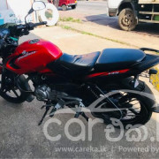 BAJAJ PULSAR 135 2013