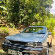 NISSAN WINGROAD 2000